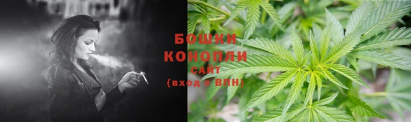 дмт Абаза