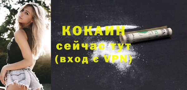 дмт Абаза