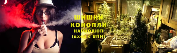 дмт Абаза